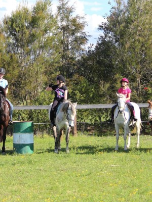 Hills and Hollows Horse Riding School