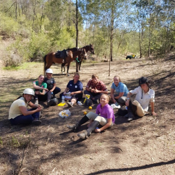 Hills and Hollows Ponies
