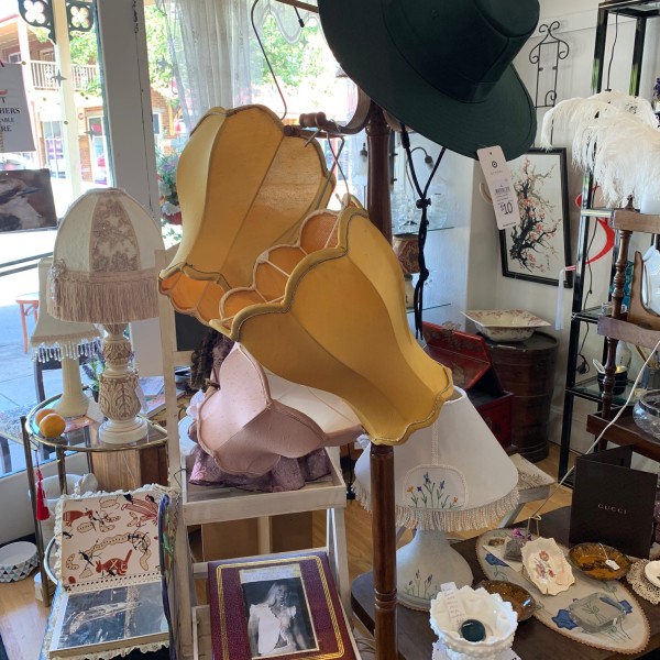 Collectables at Picton