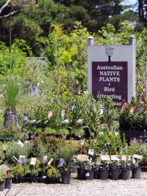 Tahmoor Garden Centre
