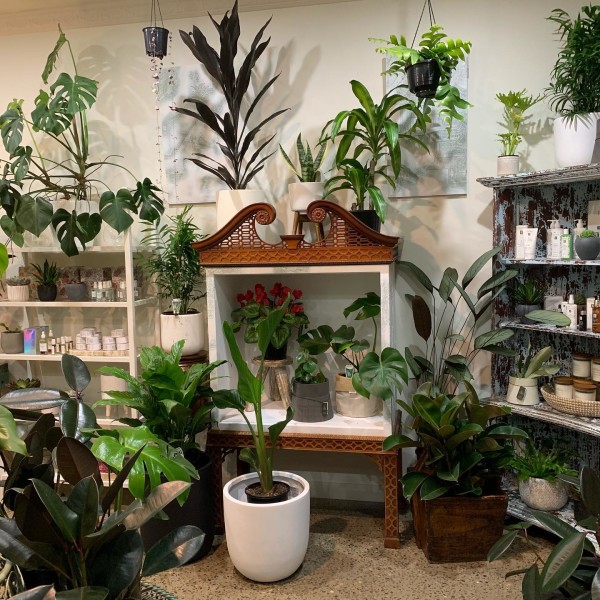 Inside The Plant Stylist Facialist