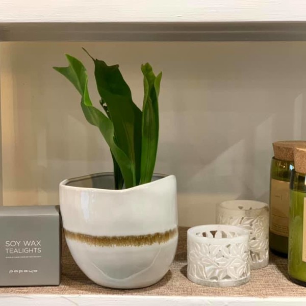 Interior Goodies at The Plant Stylist Facialist