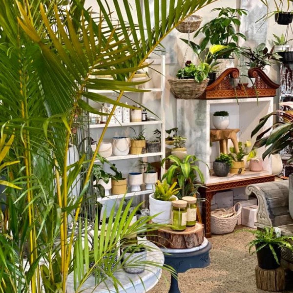 Inside The Plant Stylist Facialist