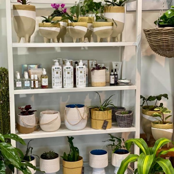 Beauty Products at The Plant Stylist Facialist