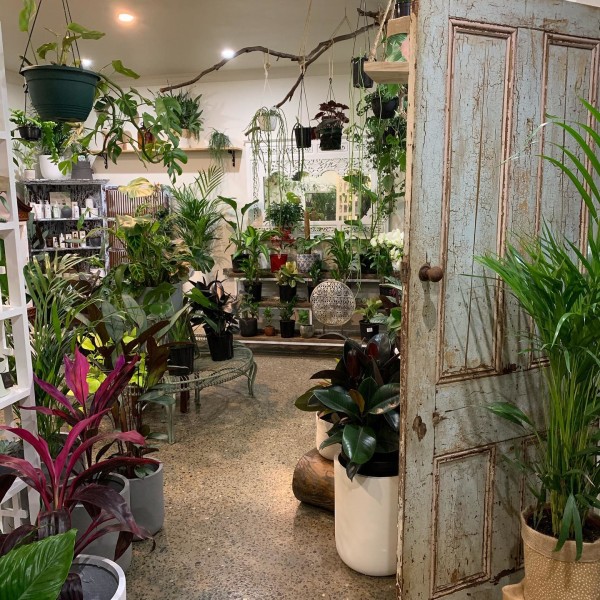 Inside The Plant Stylist Facialist