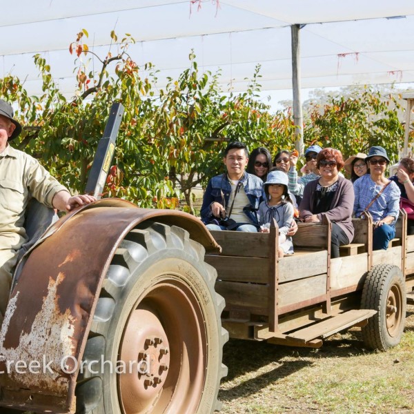 Tractor rides