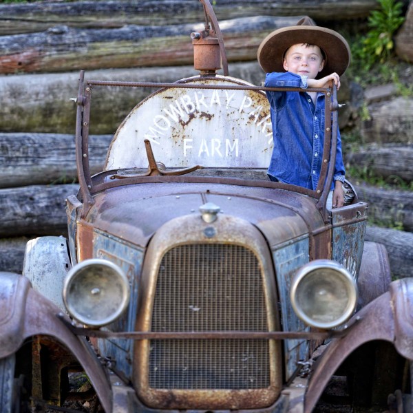 Photo Opportunities at Mowbray Park Farm