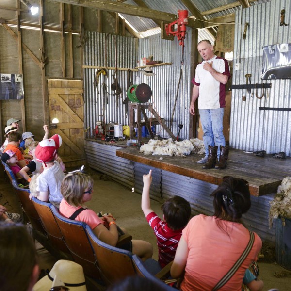 Sheering Demonstration