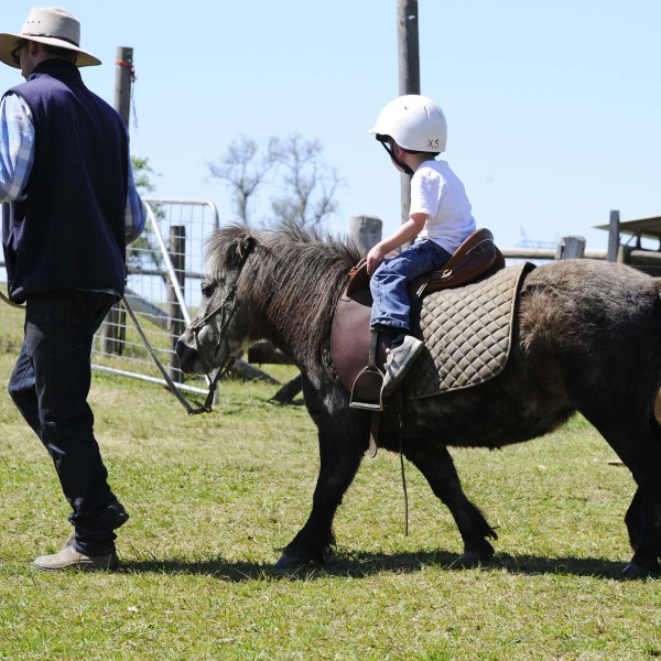 Junior Horse Rides