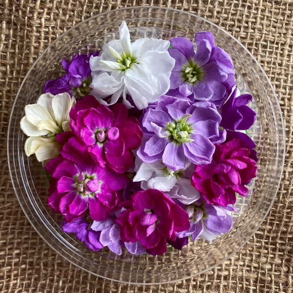 Edible Flowers at Piccolo Farm