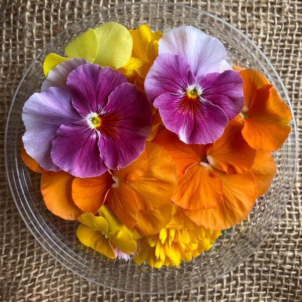 Edible Flowers at Piccolo Farm