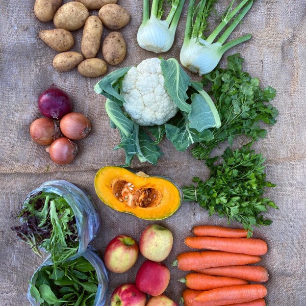 Veggie Box at Piccolo Farm