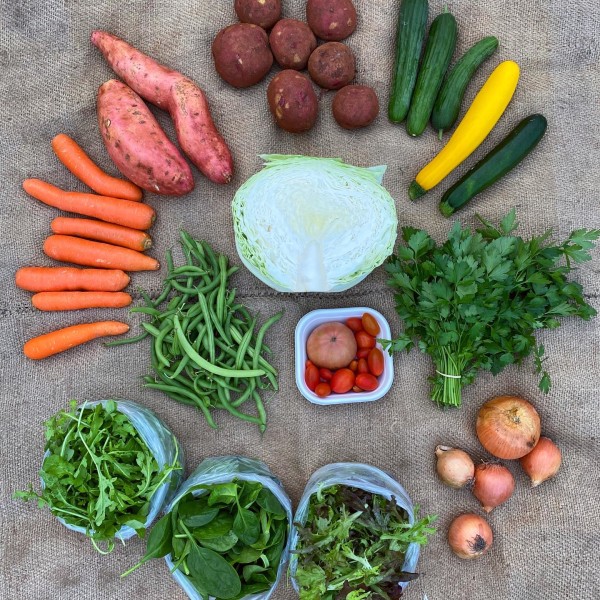 Veggie Box at Piccolo Farm