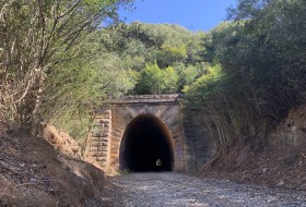 The Mushroom Tunnel