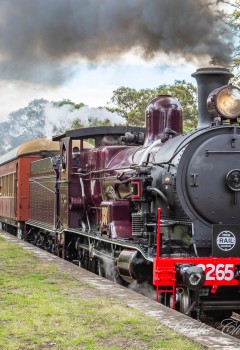 NSW Rail Museum
