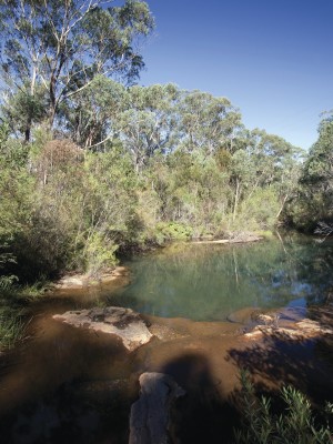 Bargo River State Conservation Area