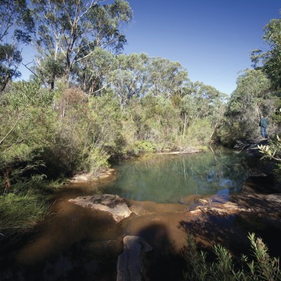Bargo River State Conservation Area