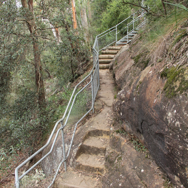 Caleys Lookout Track Bents Basin State Conservation Area - Photographer John Yurasek DPIE