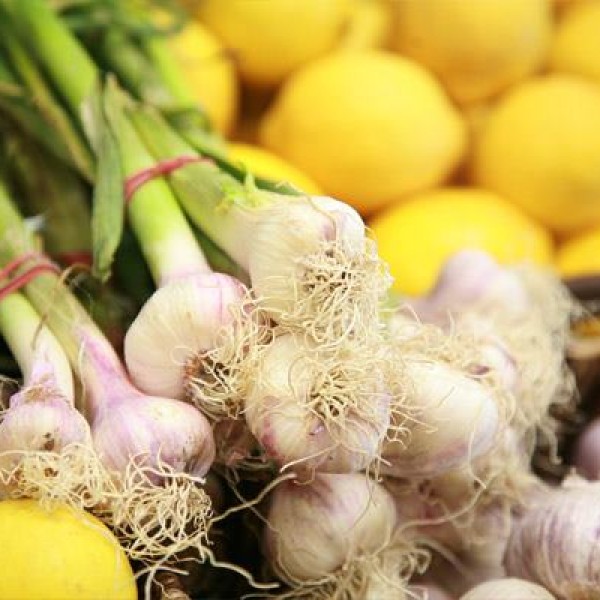 Fresh Veggies at Mowbray Park Produce