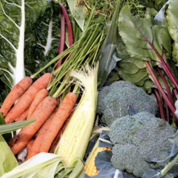 Mowbray Park Produce