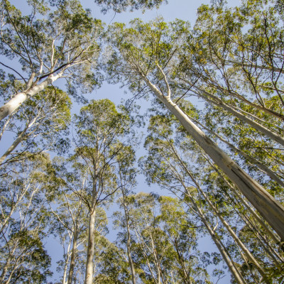 Thirlmere Lakes National Park
