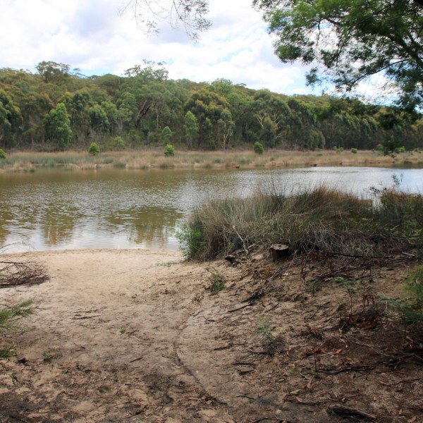 Walk around Thirlmere Lakes
