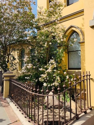 Historic Picton Walking Tour