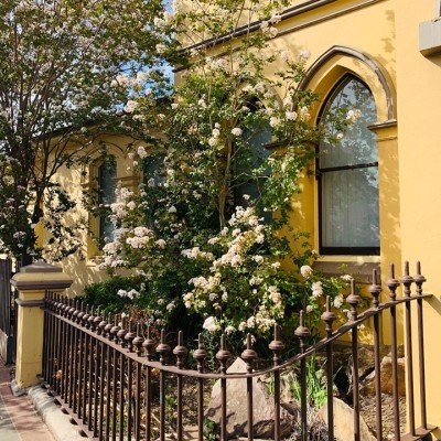 Historic Picton Walking Tour