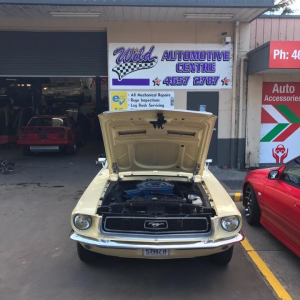 Wild Automotive Care