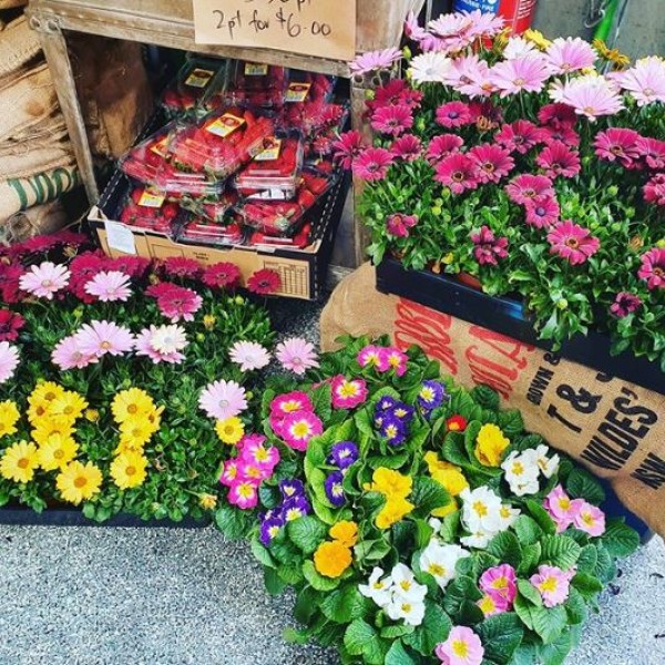 Fresh flowers at Pheasants Nest Produce