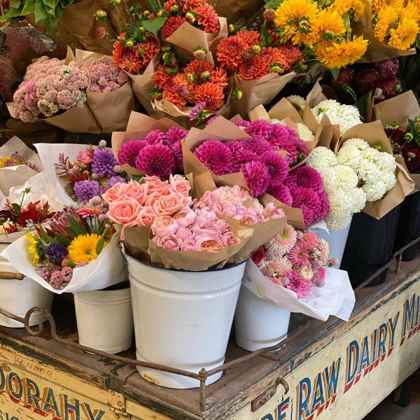 Jonima Flowers
