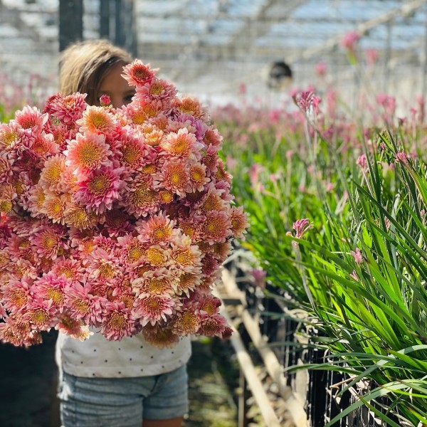 Jonima Flowers